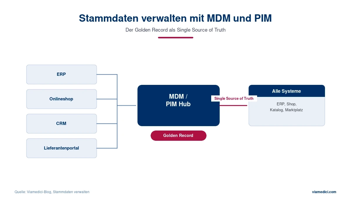 Stammdaten Infografik