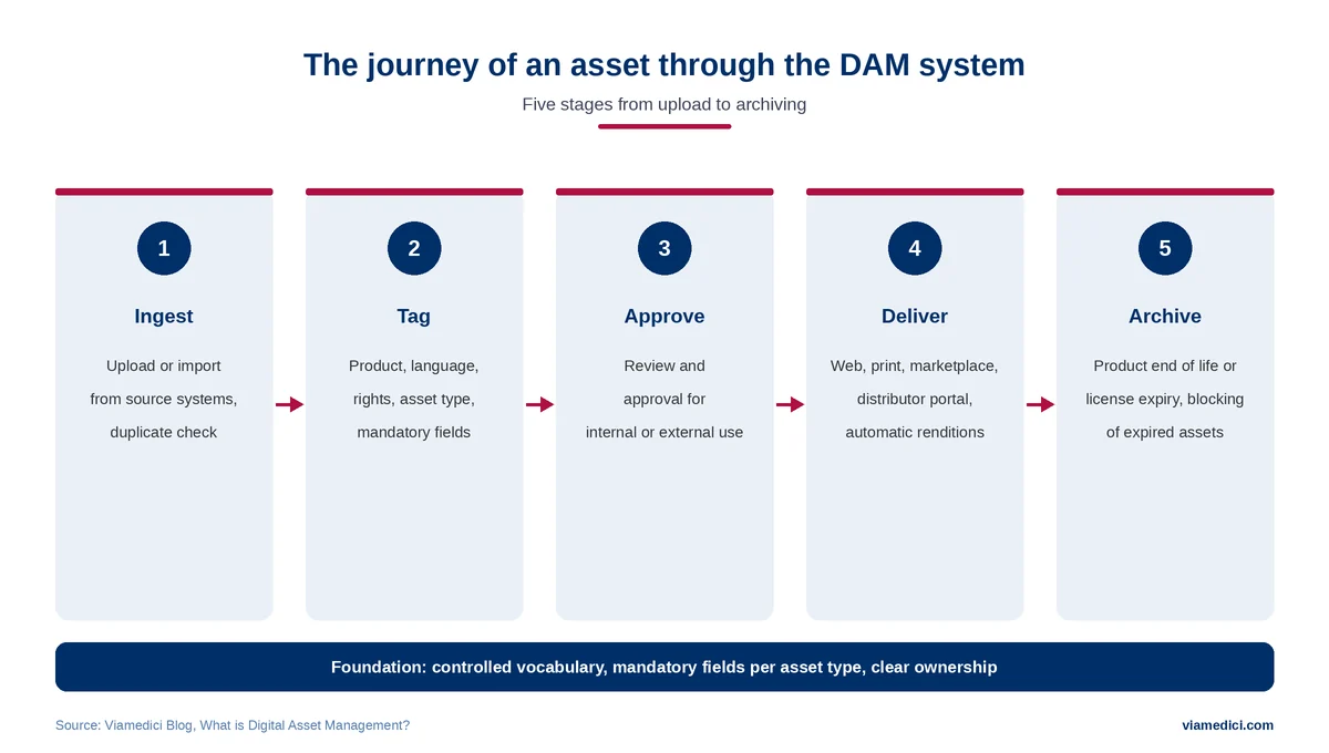 DAM system: lifecycle of a digital asset from upload to archiving